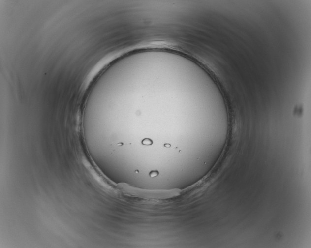 X0000110911420200907021424