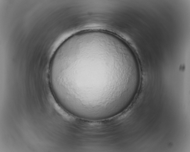 X0000110911421200907021424