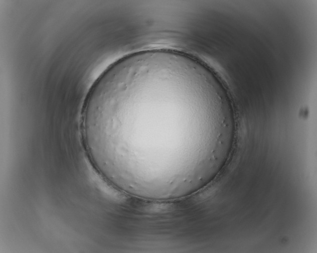 X0000110911423200907021424