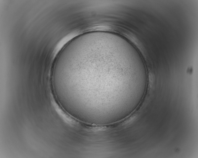 X0000110911426200907021424