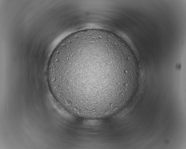 X0000110911427200907021424