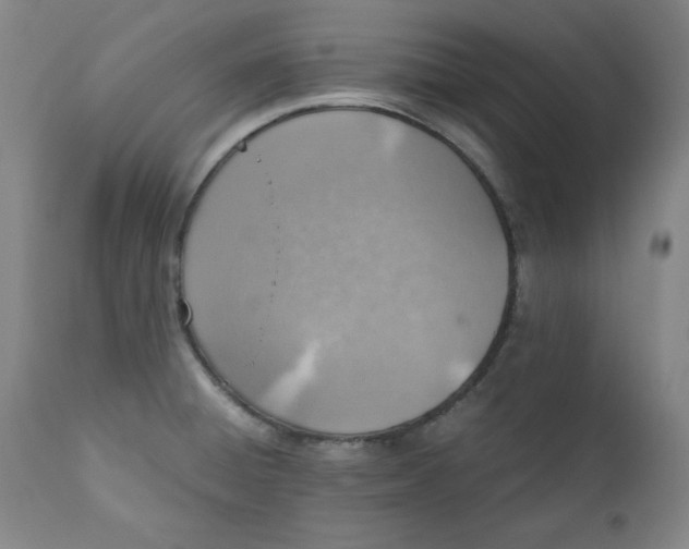 X0000110911428200907021424