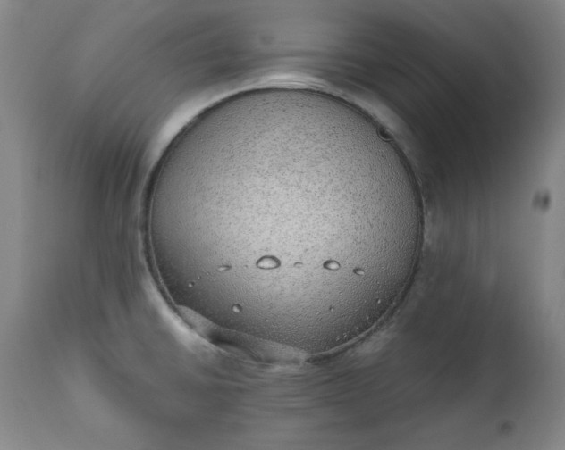 X0000110911430200907021424