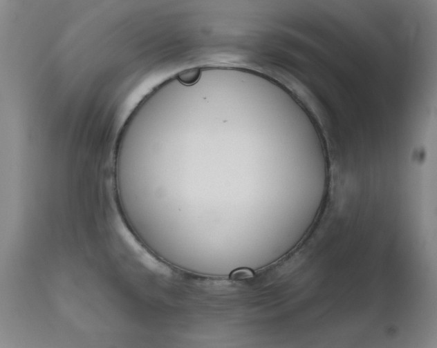 X0000110911432200907021424