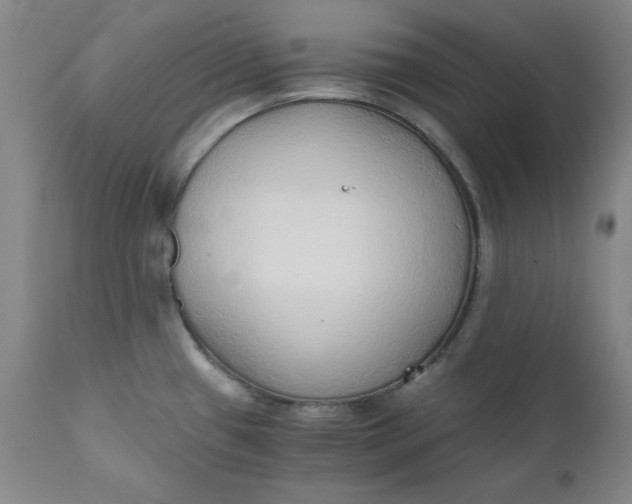 X0000110911433200907021424