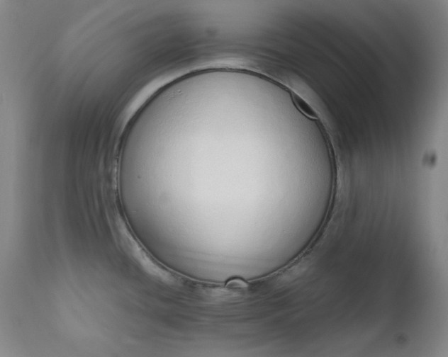 X0000110911436200907021424