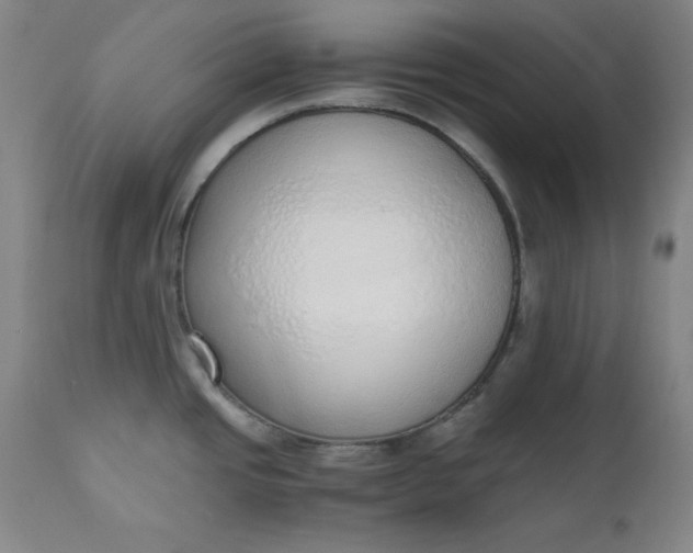 X0000110911437200907021424