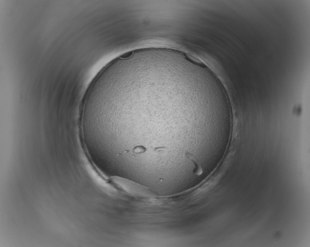 X0000110911438200907021424