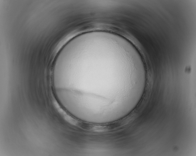 X0000110911439200907021424