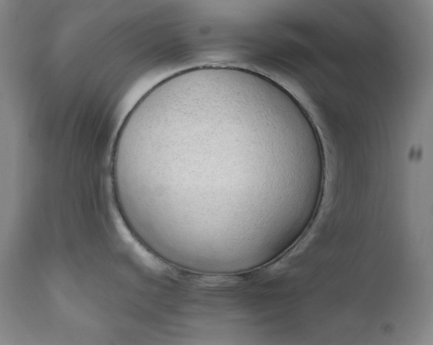 X0000110911440200907021424