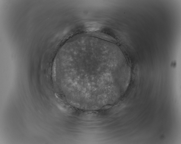 X0000110911441200907021424