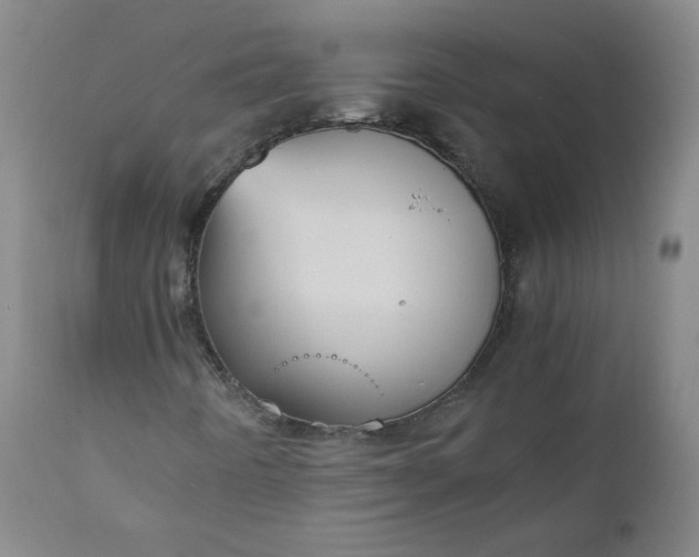 X0000110911442200907021424