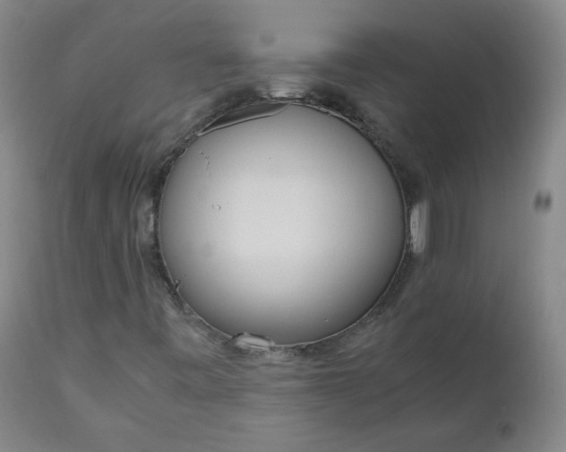 X0000110911443200907021424