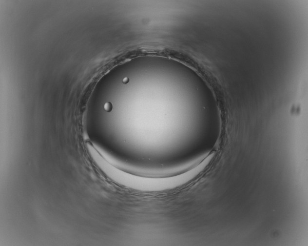 X0000110911445200907021424