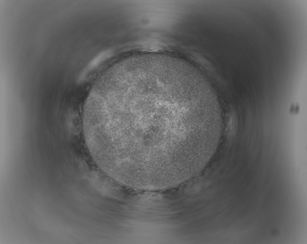 X0000110911446200907021424