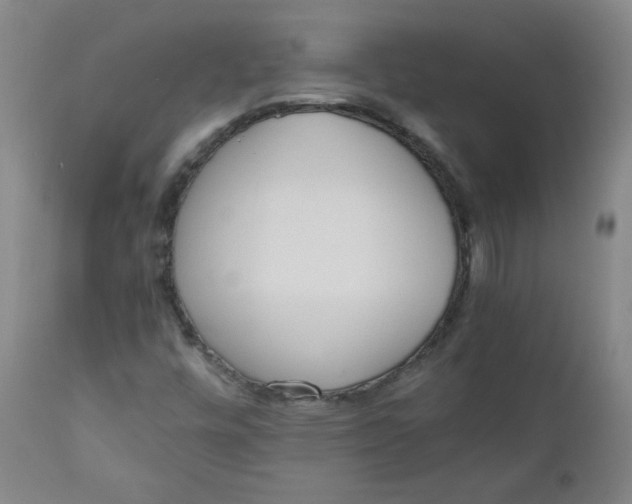 X0000110911448200907021424