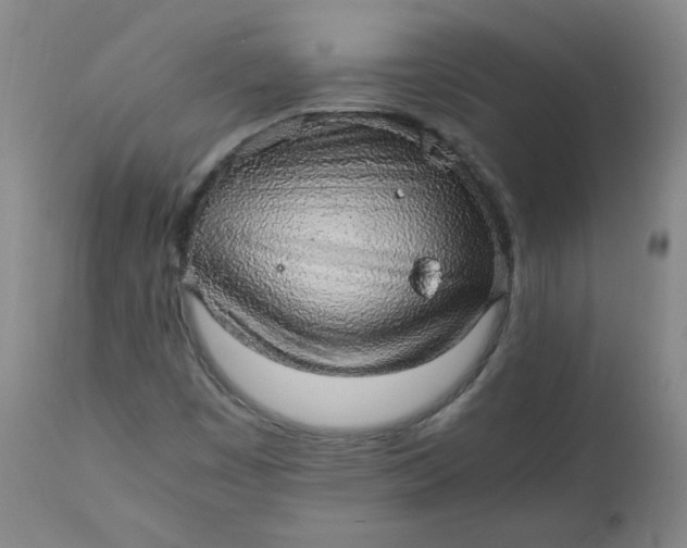 X0000110911449200907021424