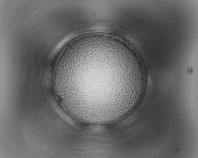 X0000110911450200907021424