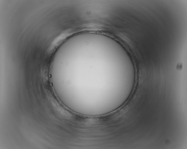 X0000110911451200907021424