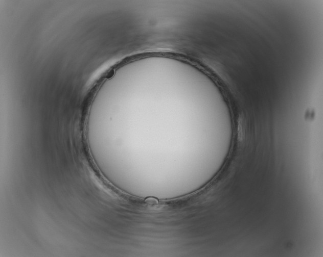 X0000110911452200907021424