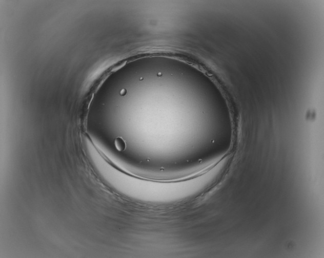 X0000110911453200907021424