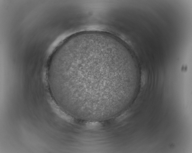 X0000110911454200907021424