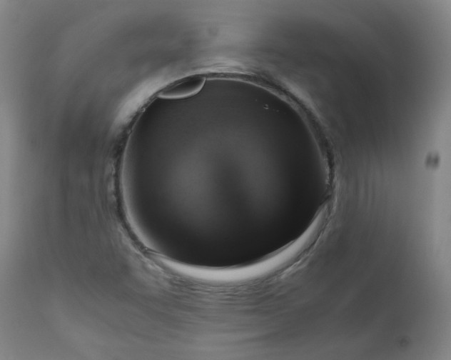 X0000110911455200907021424