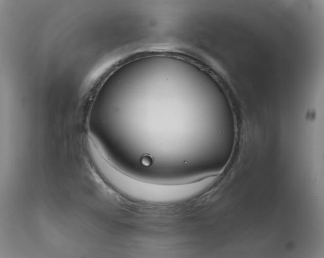 X0000110911456200907021424