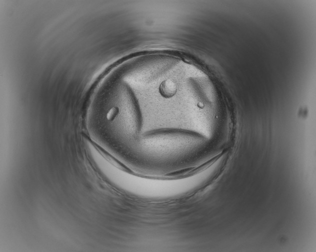 X0000110911457200907021423