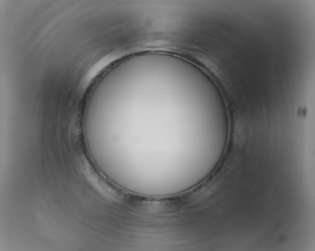 X0000110911458200907021423