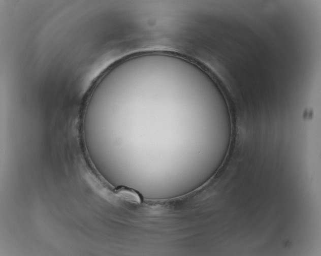 X0000110911460200907021423