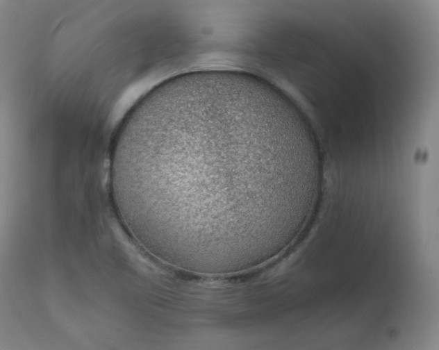 X0000110911461200907021423