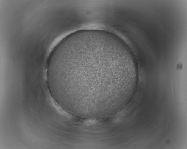 X0000110911462200907021423