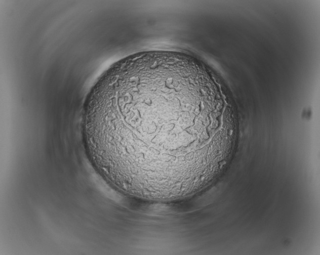 X0000110911463200907021423