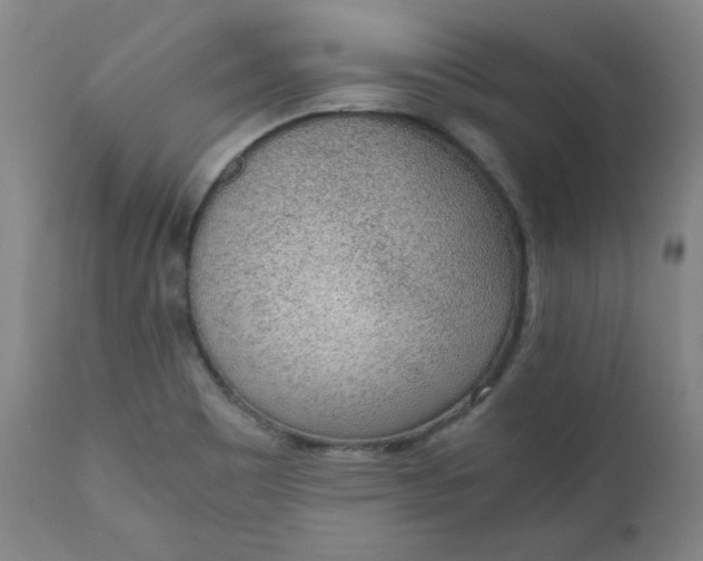 X0000110911465200907021423