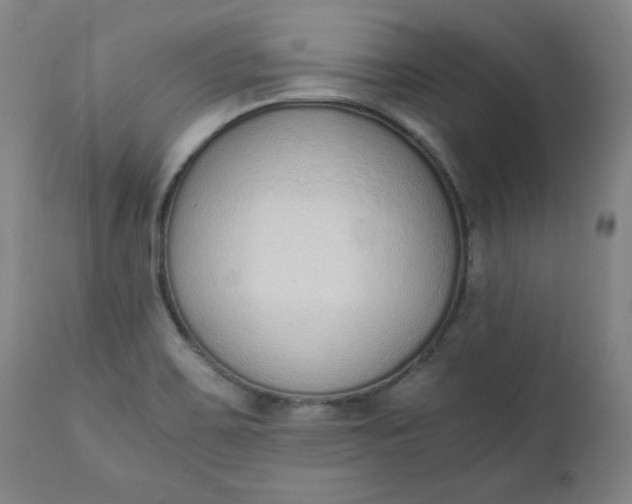 X0000110911467200907021423