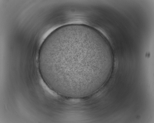 X0000110911468200907021423