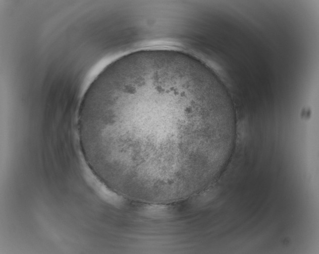 X0000110911470200907021423