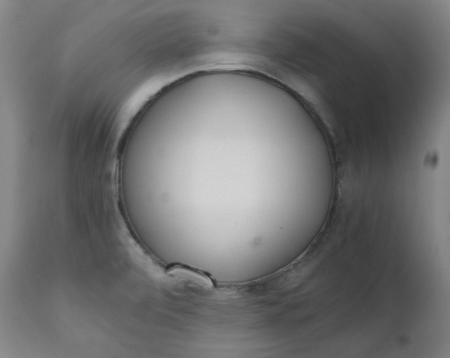 X0000110911472200907021423