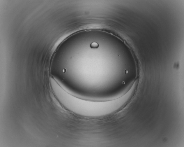 X0000110911473200907021423