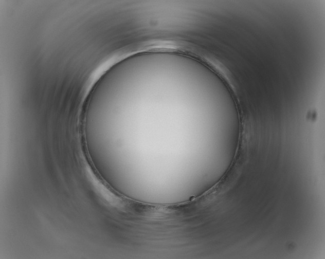 X0000110911475200907021423