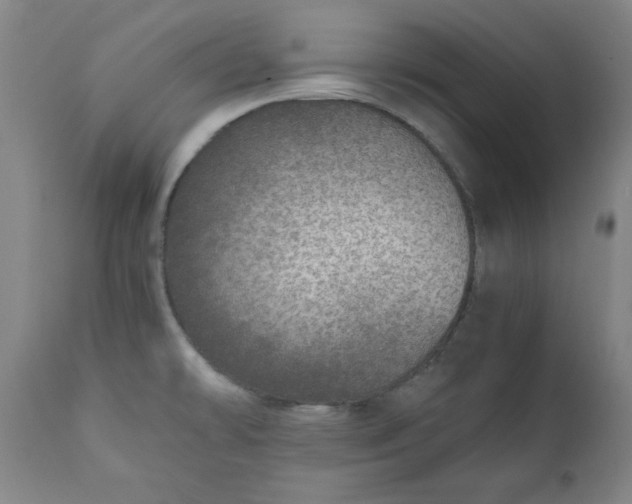 X0000110911478200907021423