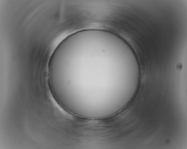 X0000110911479200907021423