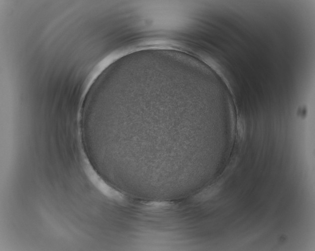 X0000110911482200907021423