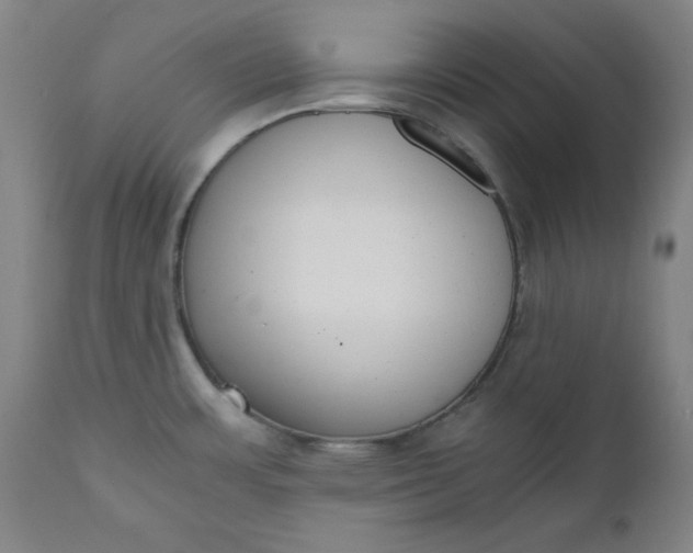 X0000110911483200907021423