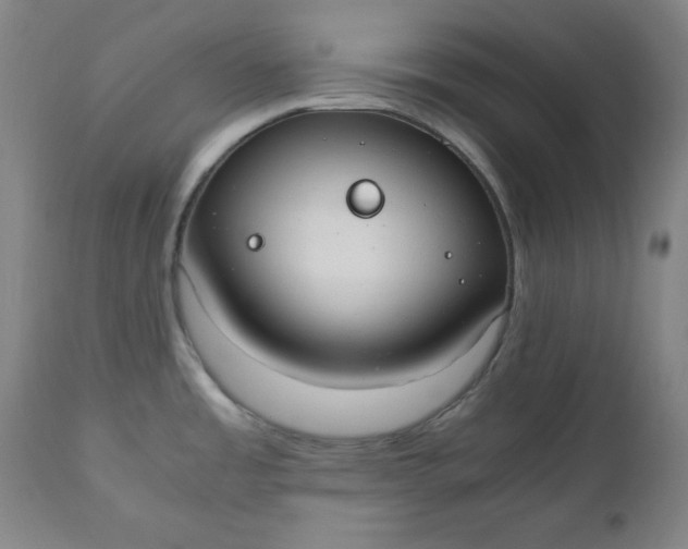 X0000110911485200907021423