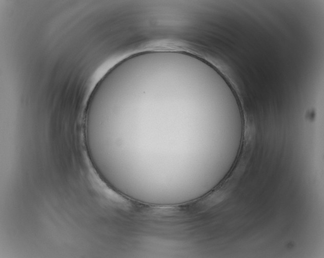 X0000110911486200907021423