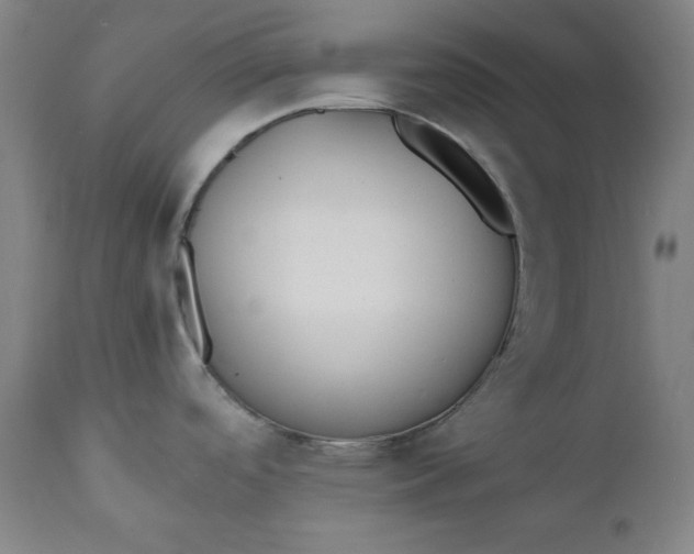 X0000110911488200907021423