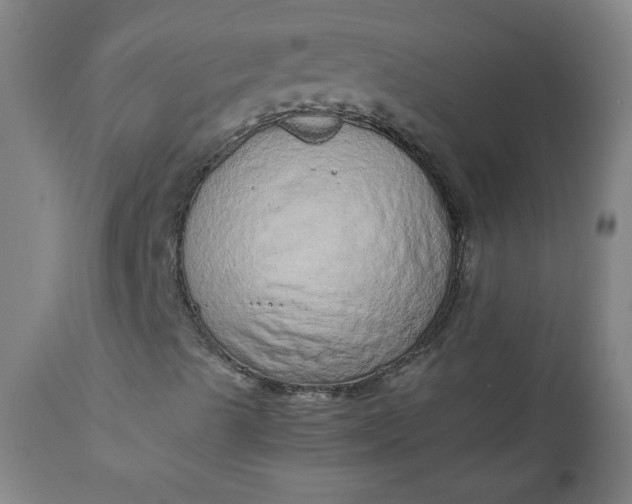 X0000110911489200907021422