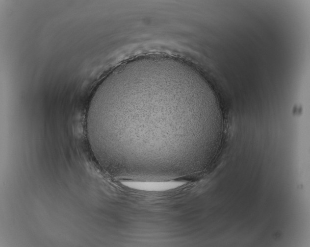 X0000110911490200907021422